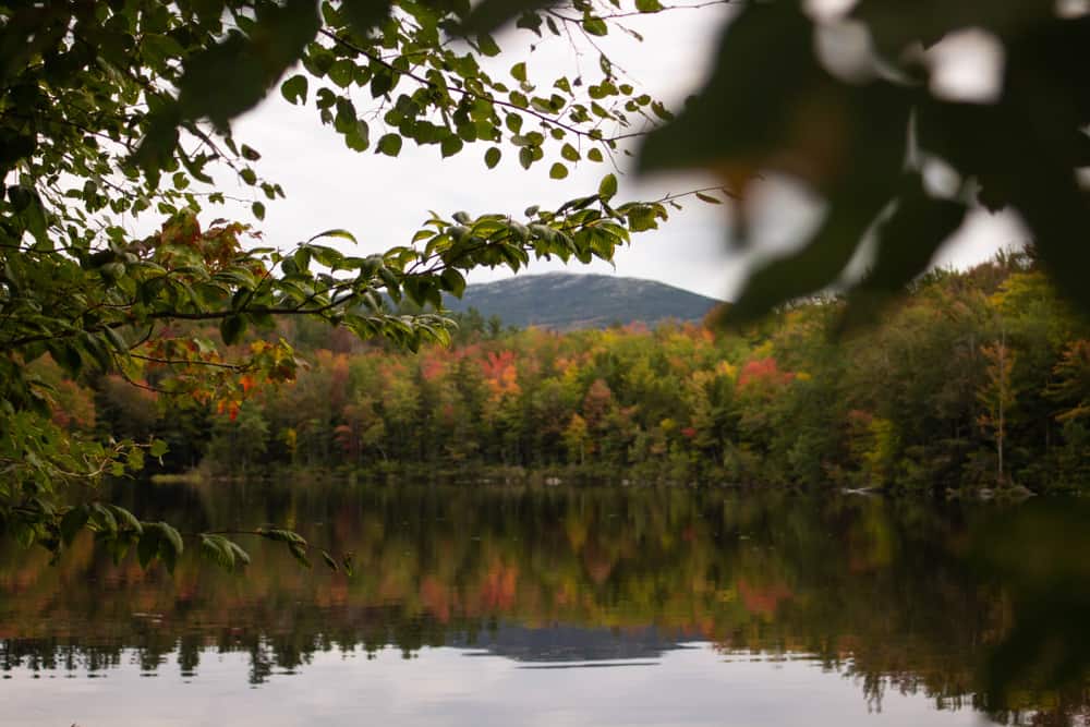 A lake with fall trees reflecting in the water and mountains in the distance