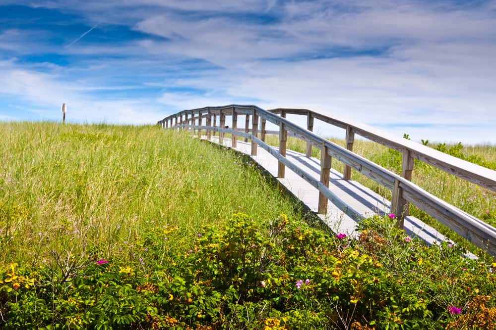 A bridge through the sand dunes on a sunny day