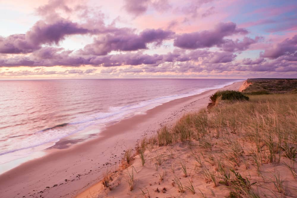 A sandy beach at sunset