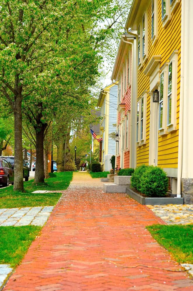 Tree lined street with brick sidewalk and yellow buildings along the path