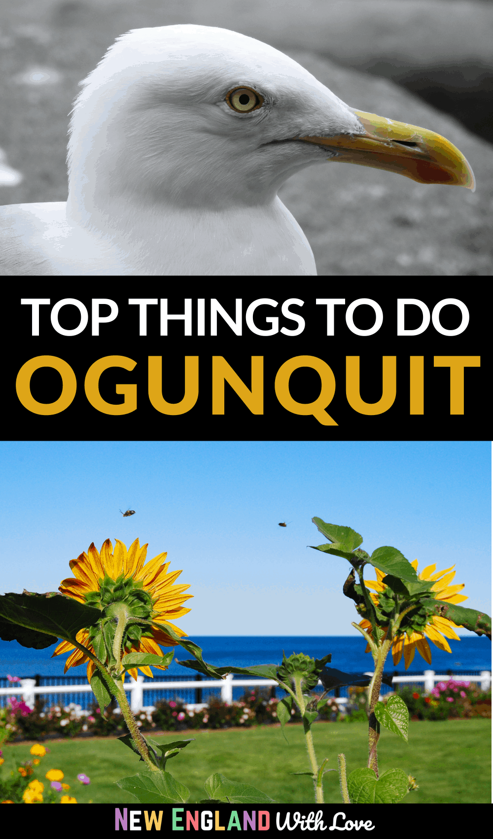 Pinterest graphic reading "TOP THINGS TO DO OGUNQUIT"