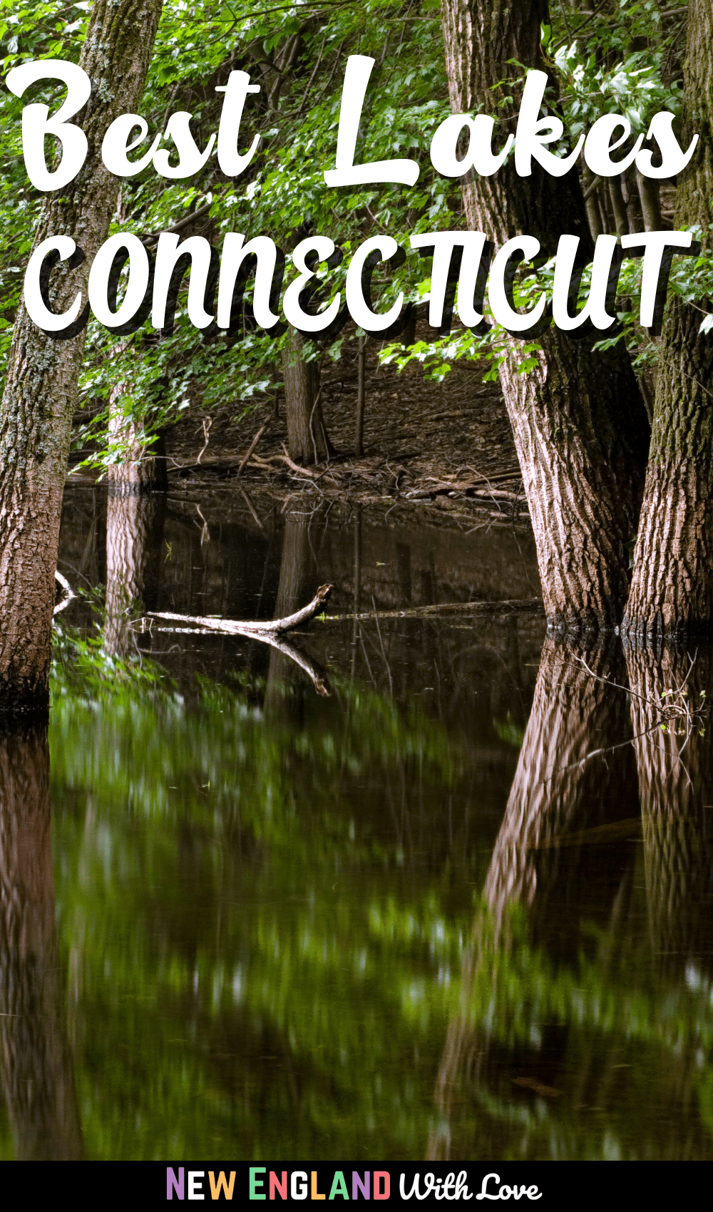 Pinterest graphic reading "Best Lakes in Connecticut"