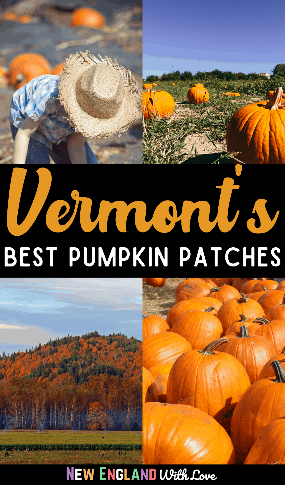 Pinterest graphic reading "Vermont's Best Pumpkin Patches"