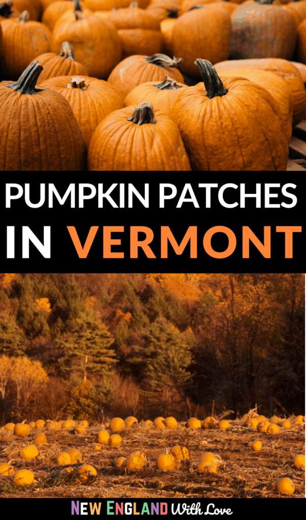Pinterest graphic reading PUMPKIN PATCHES IN VERMONT