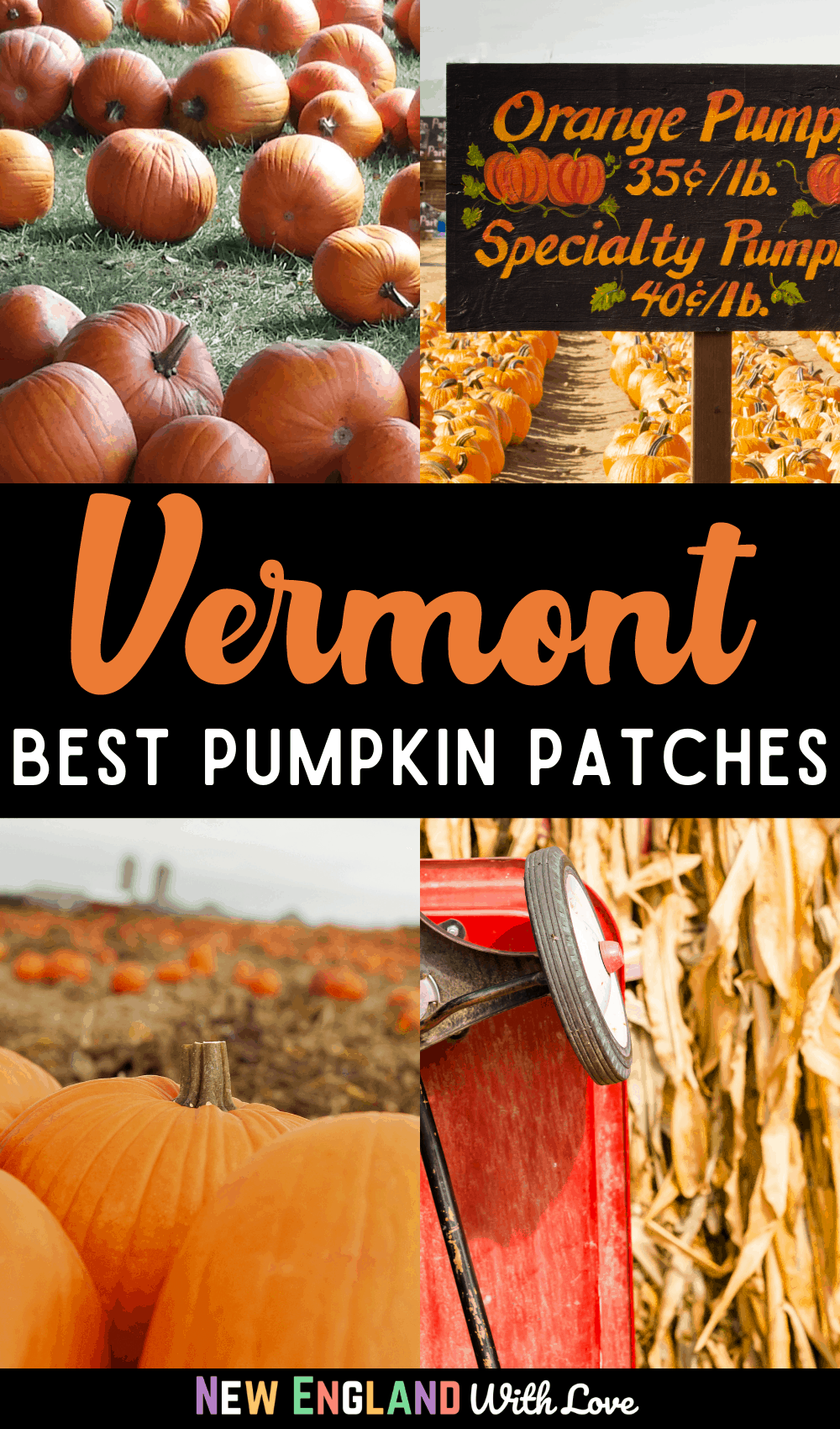 Pinterest graphic reading "Vermont Best Pumpkin Patches"