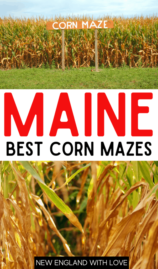 10 Best Corn Mazes in Maine (2023) New England With Love