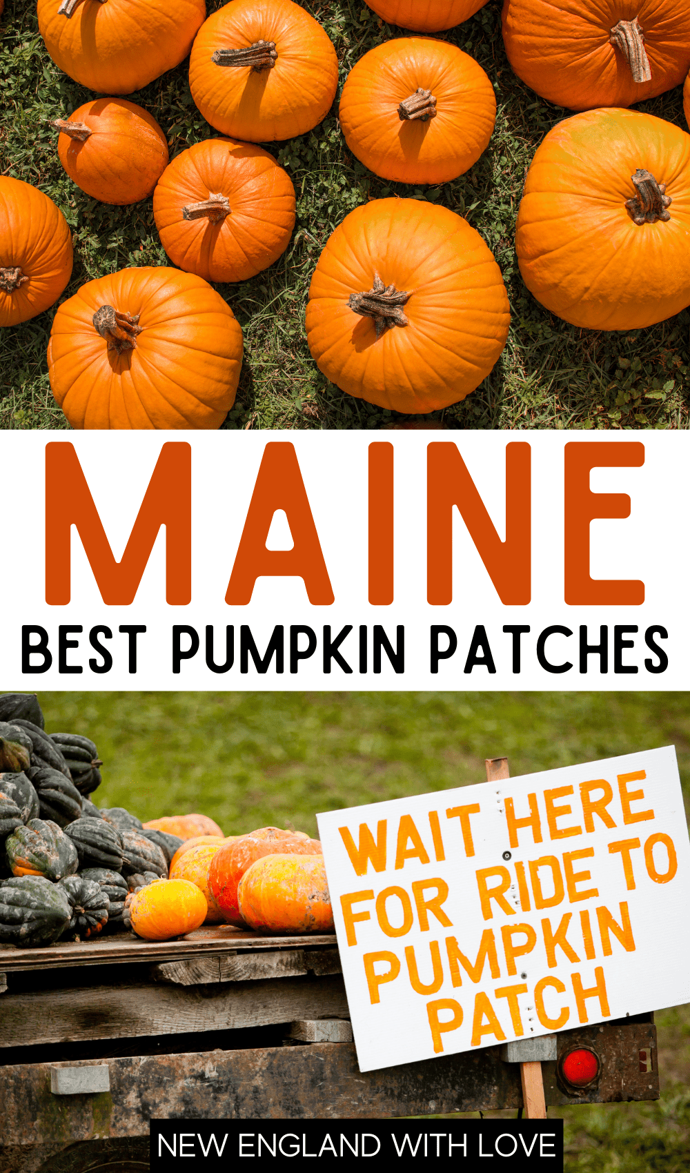 Pinterest graphic reading "MAINE" in large orange letters. Underneath that is reads "BEST PUMPKIN PATCHES" in black letters