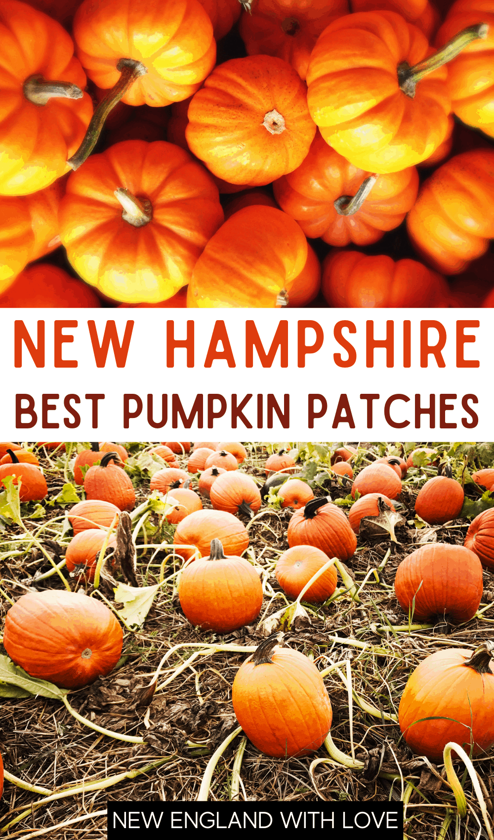 Pinterest graphic reading "NEW HAMPSHIRE BEST PUMPKIN PATCHES"