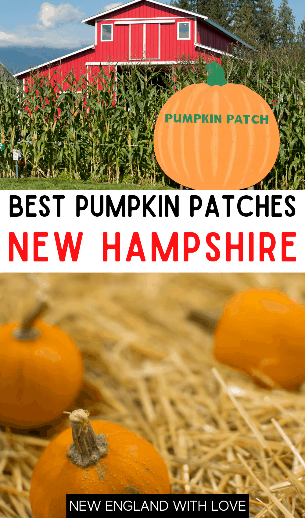 Pinterest graphic reading "BEST PUMPKIN PATCHES NEW HAMPSHIRE"