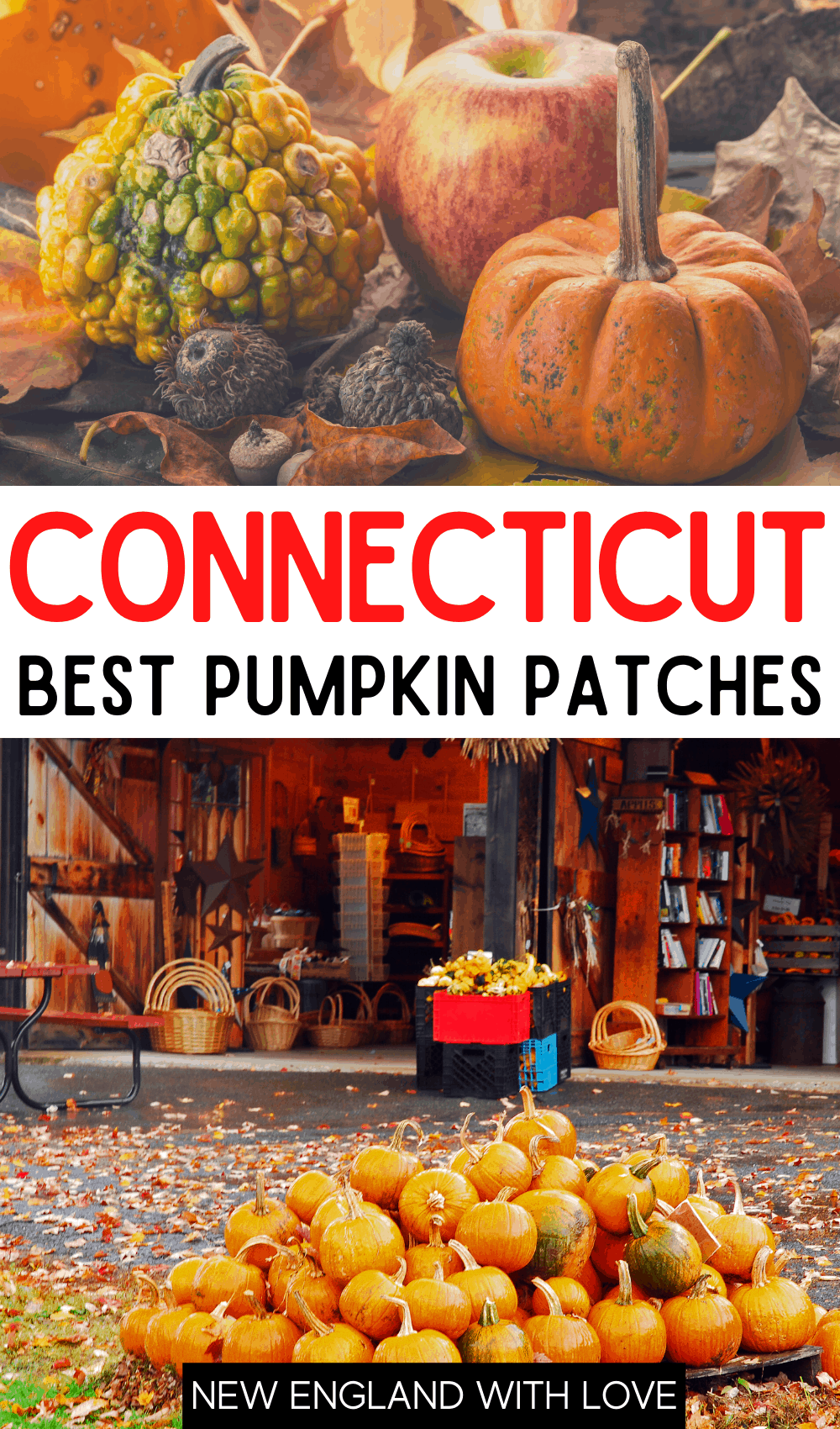 Pinterest graphic reading "Connecticut Best Pumpkin Patches"
