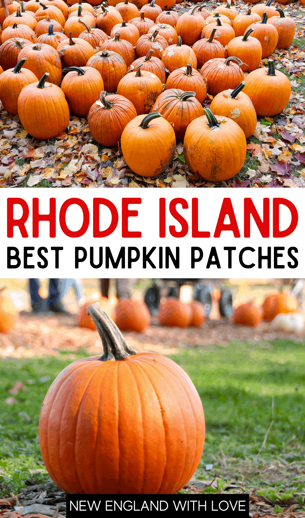 Pinterest graphic reading "RHODE ISLAD BEST PUMPKIN PATCHES" with photos of pumpkins above and below the words