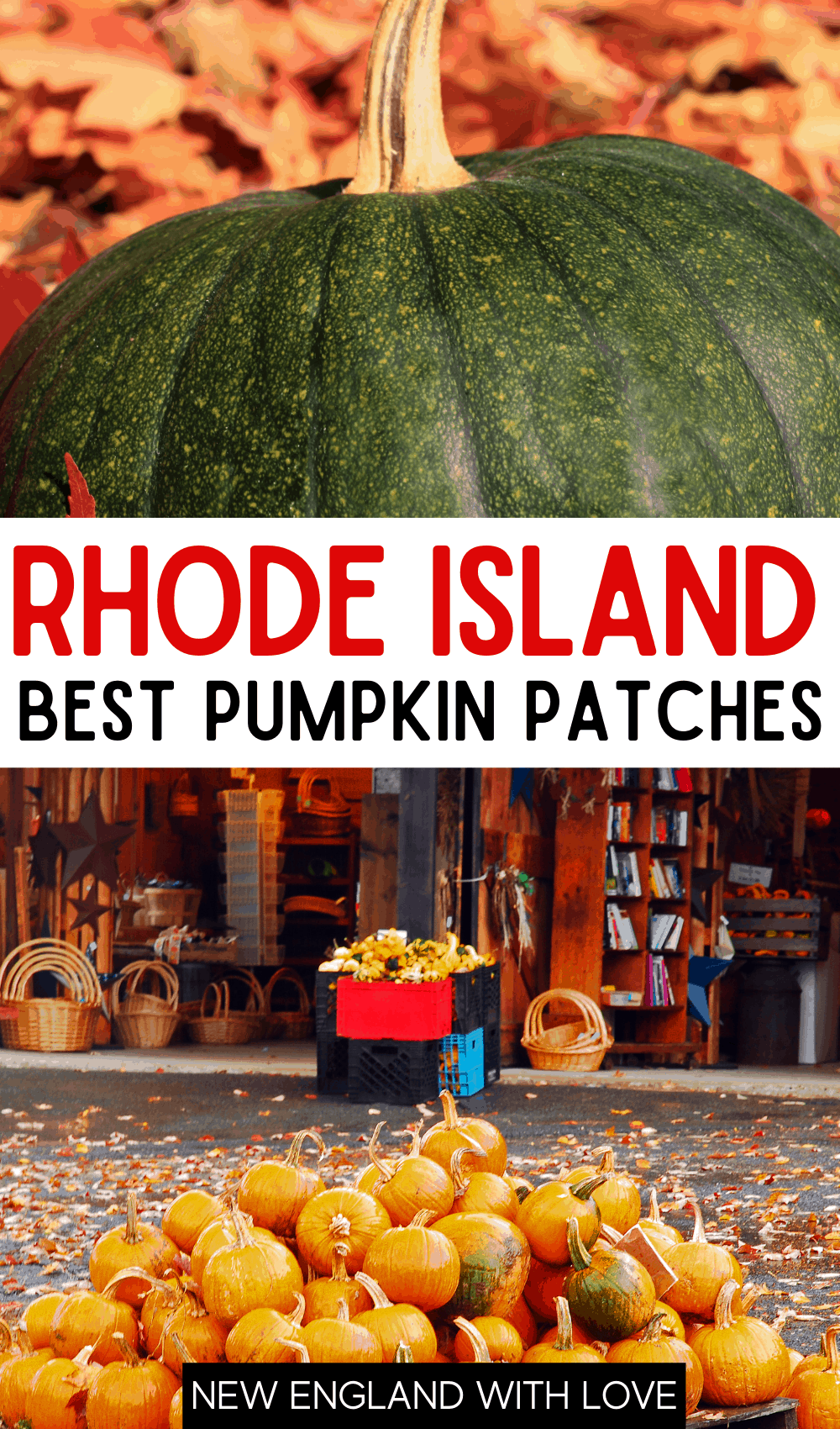 Pinterest graphic reading "RHODE ISLAND BEST PUMPKIN PATCHES"