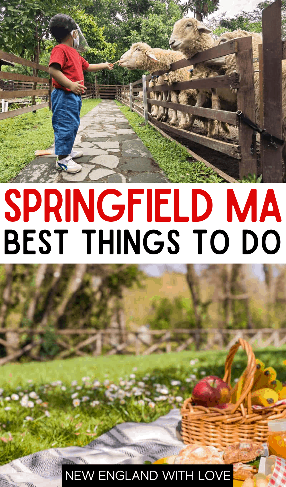 Pinterest graphic reading "SPRINGFIELD MA BEST THINGS TO DO"