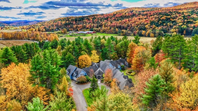 Aerial view of houses in the mountains