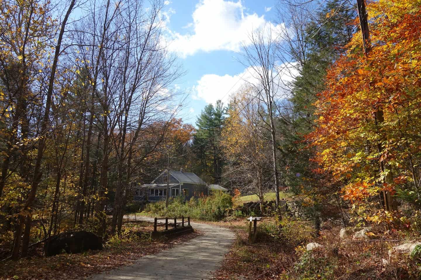 A path through the trees with a Massachusetts vacation house up ahead on the right. 