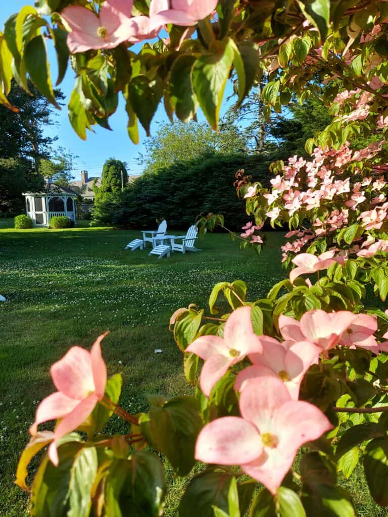 Two white adirondack chairs and a gazebo sit on a green lawn with pink flowers in the foreground