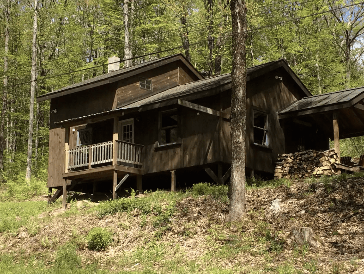 Brown house in the forest on a sunny day.