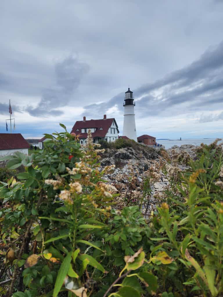 The Portland Head Light sits just beyond flowers and plants with the sea in the distance