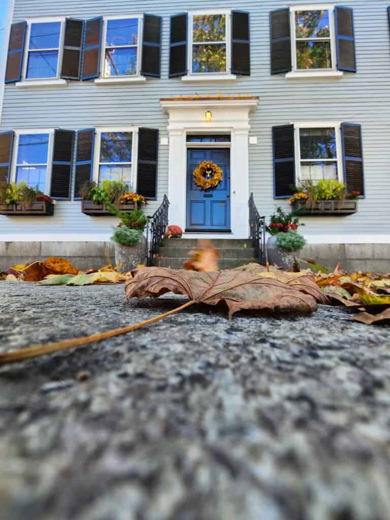 image of a blue house as seen from the ground. a fallen brown leaf is in focus in the foreground