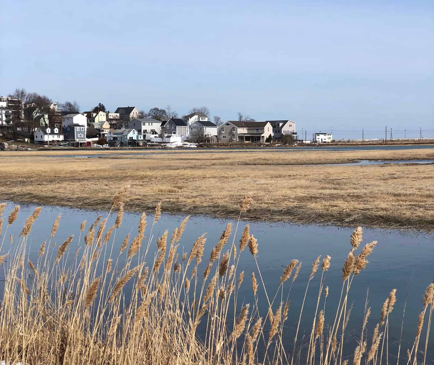 Water and grass with houses in the distance