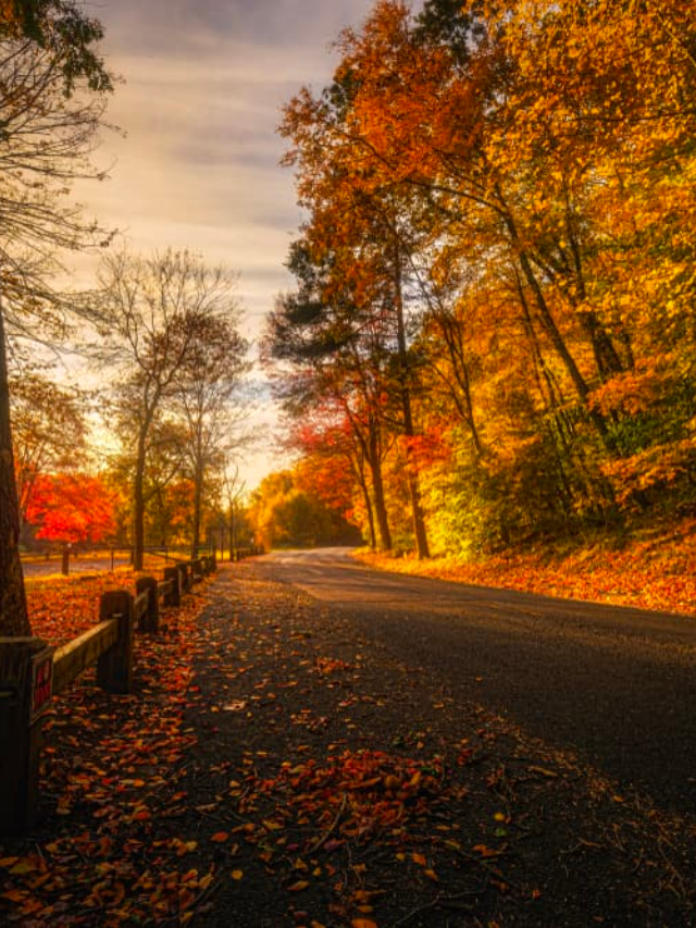 New England Fall Road Trip-Cover image