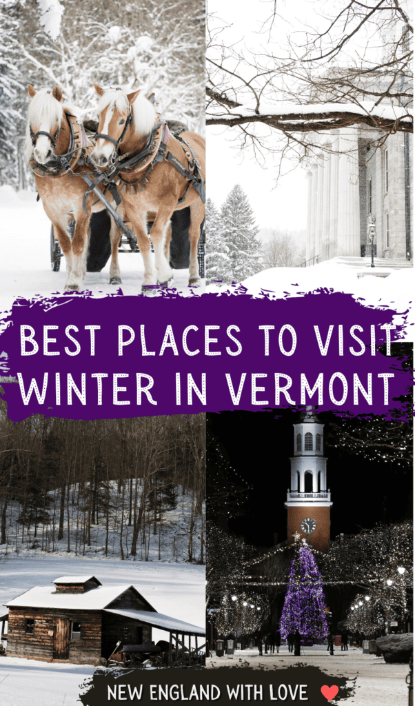 Vermonters head to Winter Classic