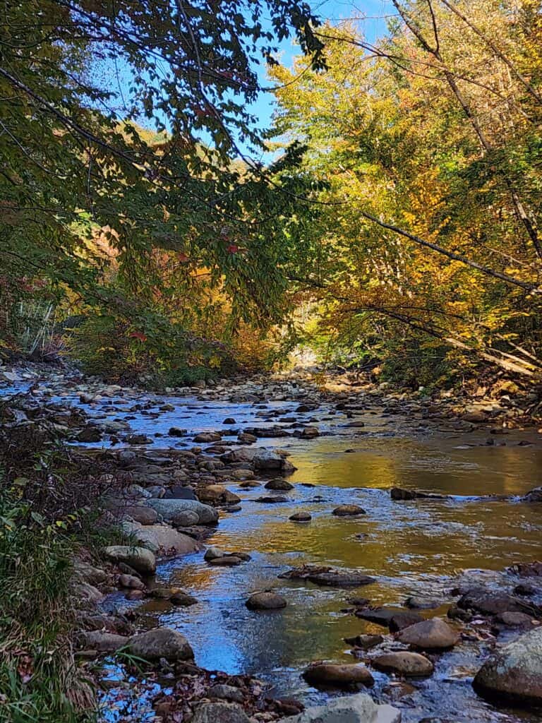 A creek in the New Hampshire White Mountains with October fall foliage