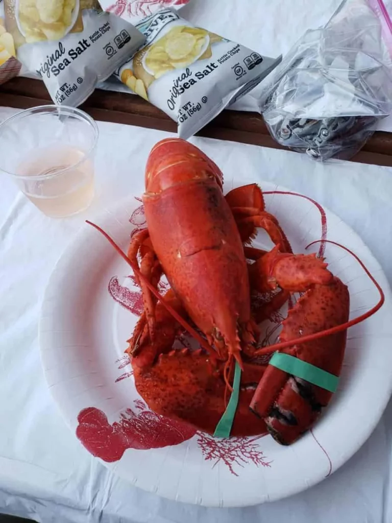 A large red fresh caught lobster in Maine pictured on a white plate