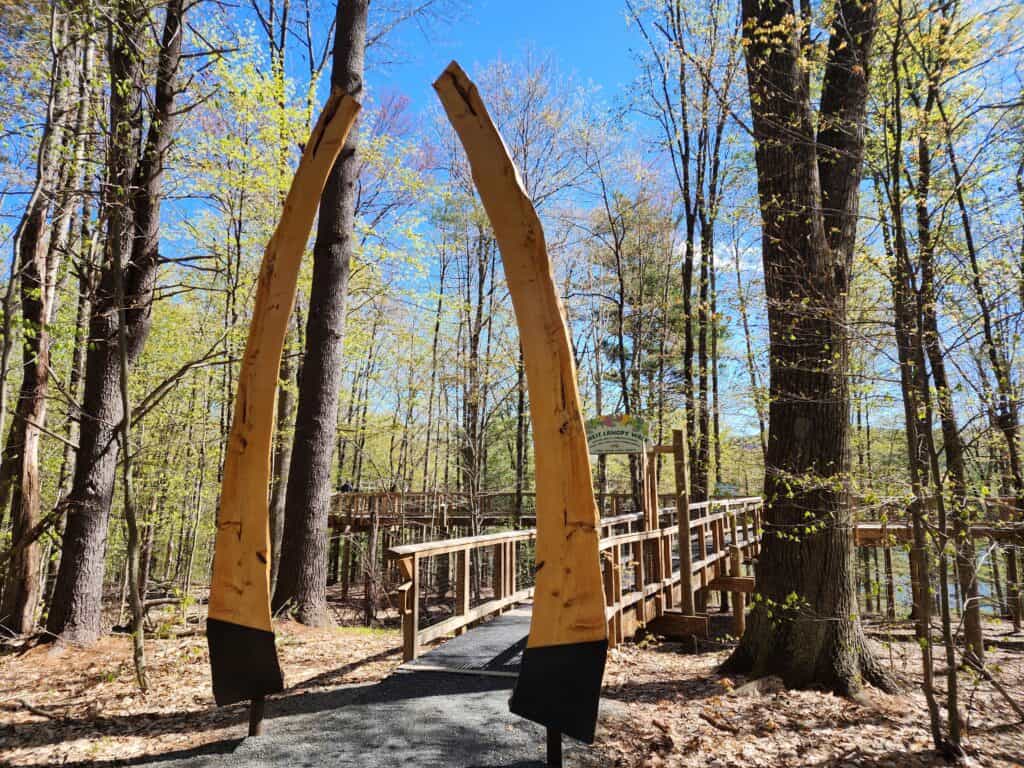 the entrance to a canopy walkway, a wooden ramp stretches out behind a simple wooden arch