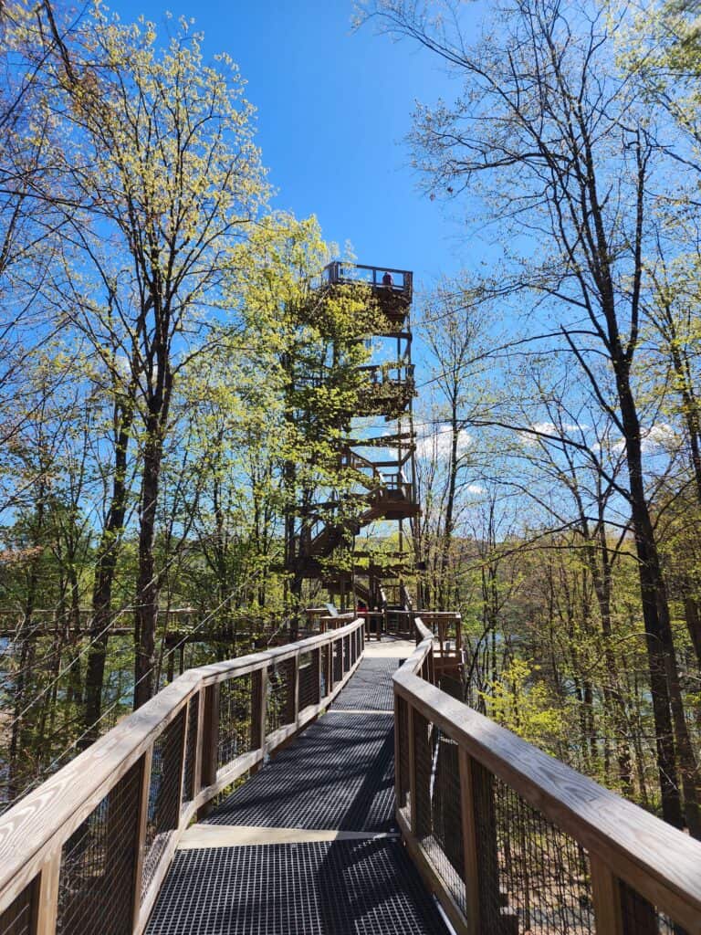 a raised wooden walkway stretches ahead with a towered platform and stairs in the distance. the walkway and platform are among the tree canopy
