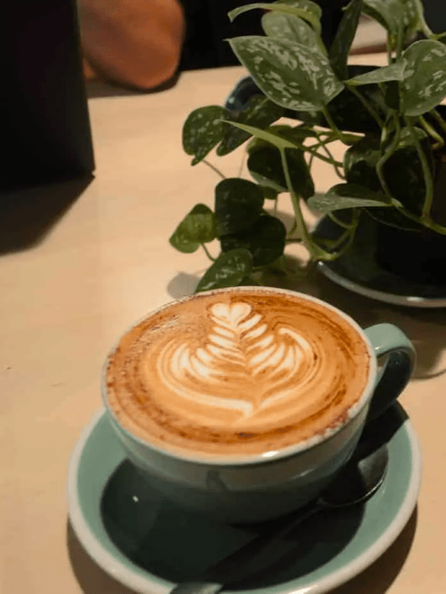 7 Coziest, Best Burlington Vermont Coffee Shops to Visit in 2023-Cover image