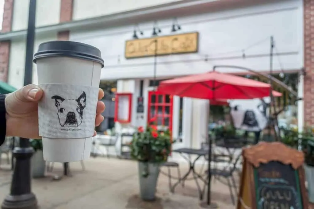 A focal point of a coffee cup with a dog on it is in the foreground with a popular Salem, Massachusetts tavern seen behind it with a red umbrella canopy over a table