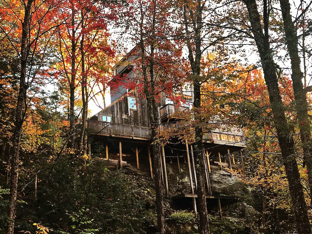 Treehouse surrounded by fall foliage.