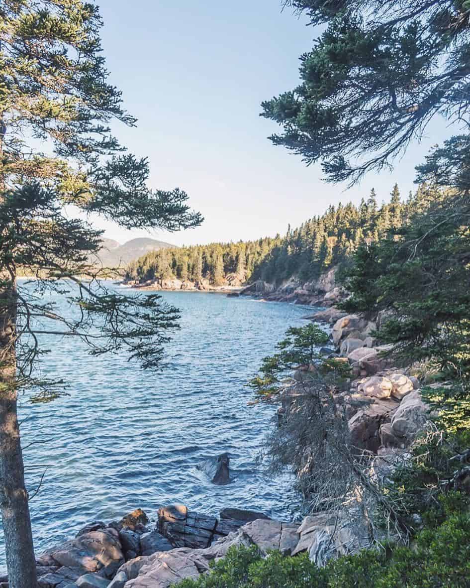 a gorgeous scenic view of acadia national park, maine water framed by pine trees