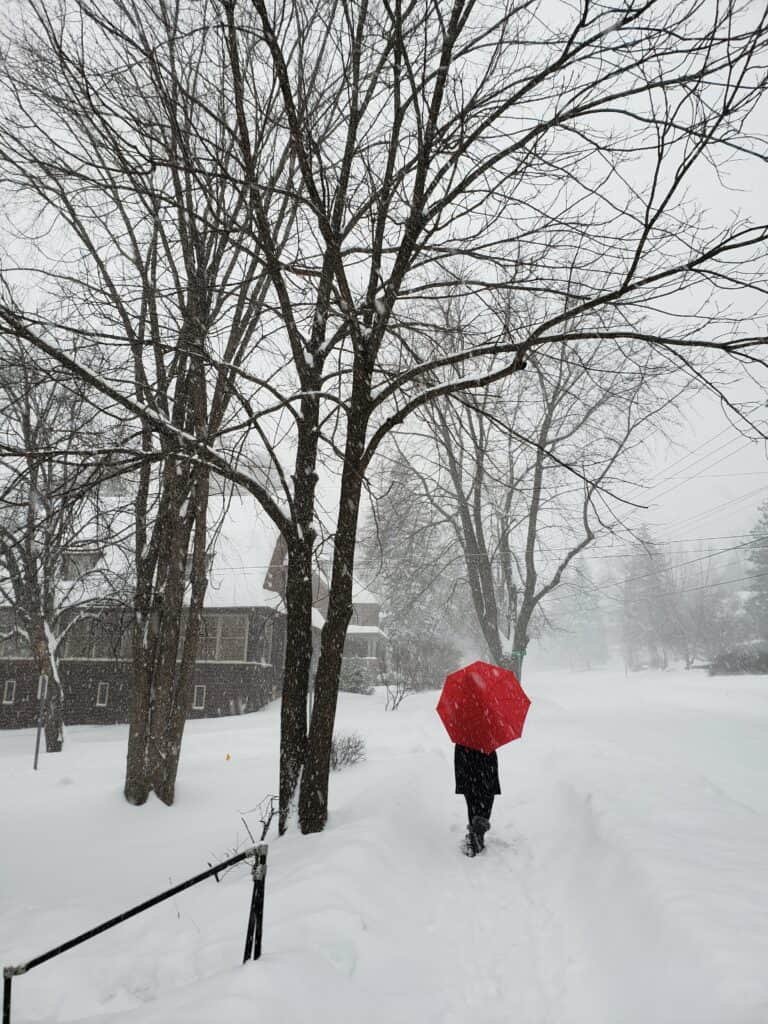 a figure walks with a red umbrella along a very snowy road