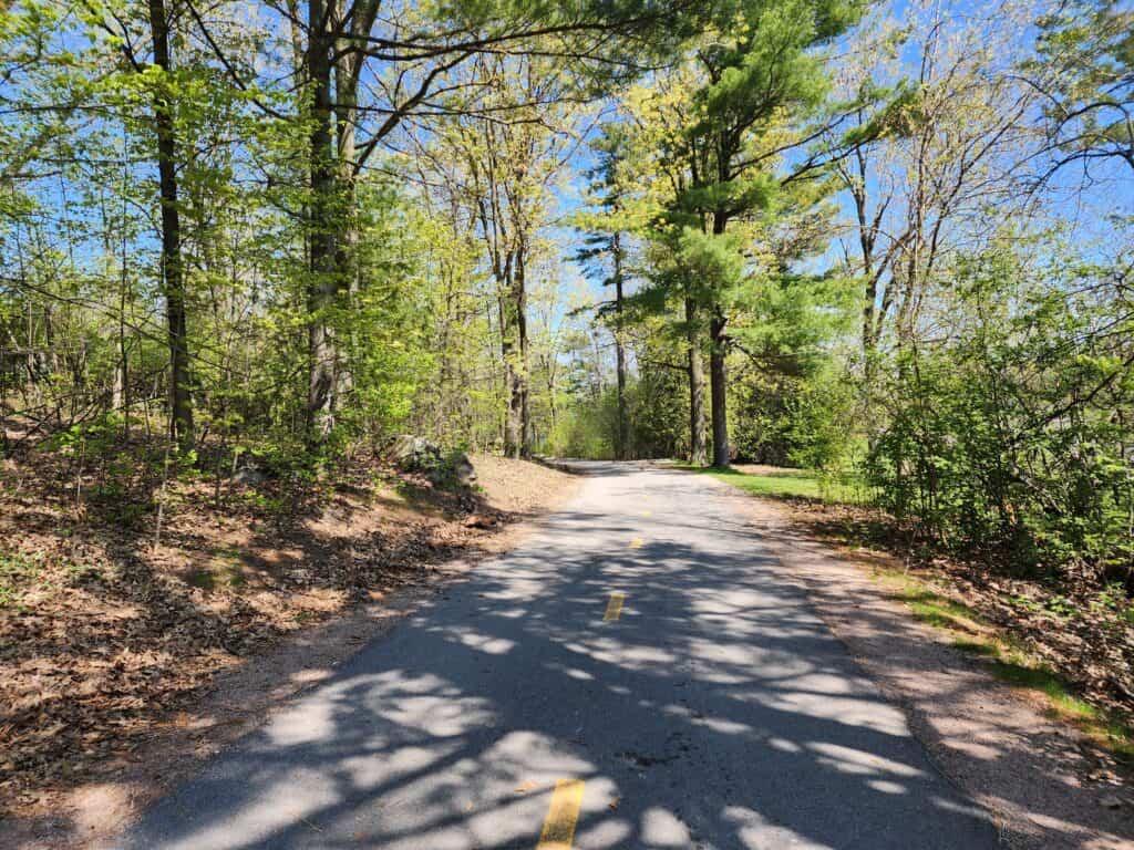 a paved bike path surrounded by bright green trees