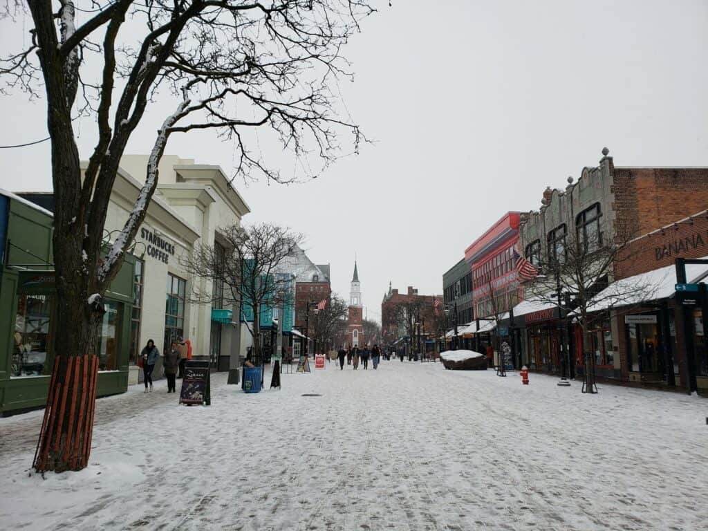 an image of a nearly empty street covered in snow, shops line the sides