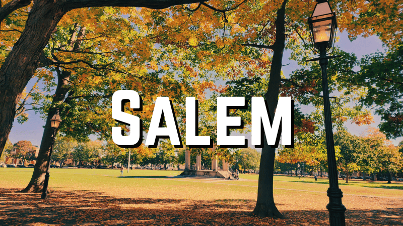 autumn leaves in a town park with an old fashioned lamppost - salem town common