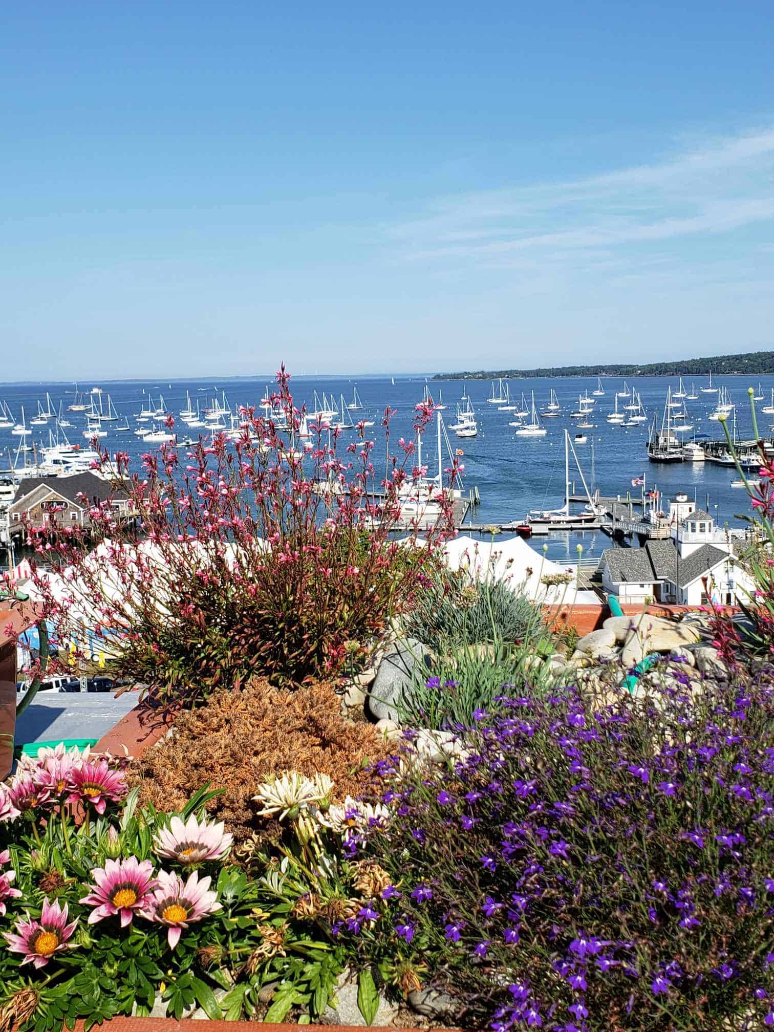 Water along the Maine coast full of sail boats