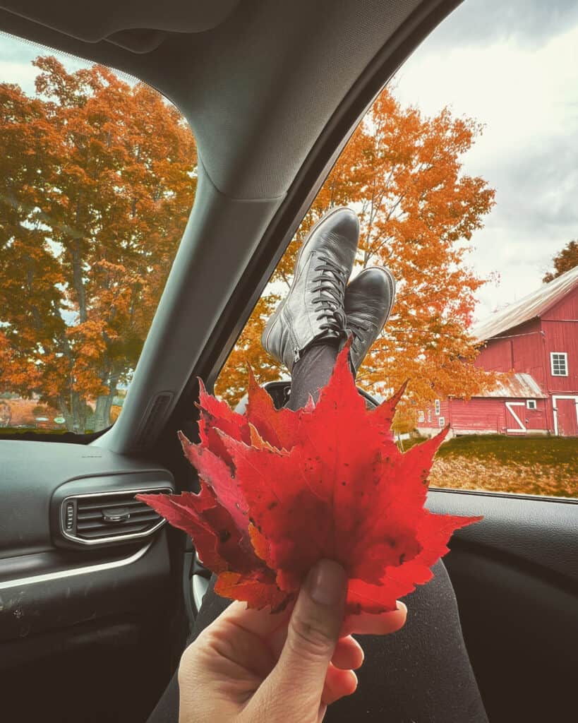 a pair of legs are propped against a car door window with a fall scene beyond and a hand holding red maple leaves in the front