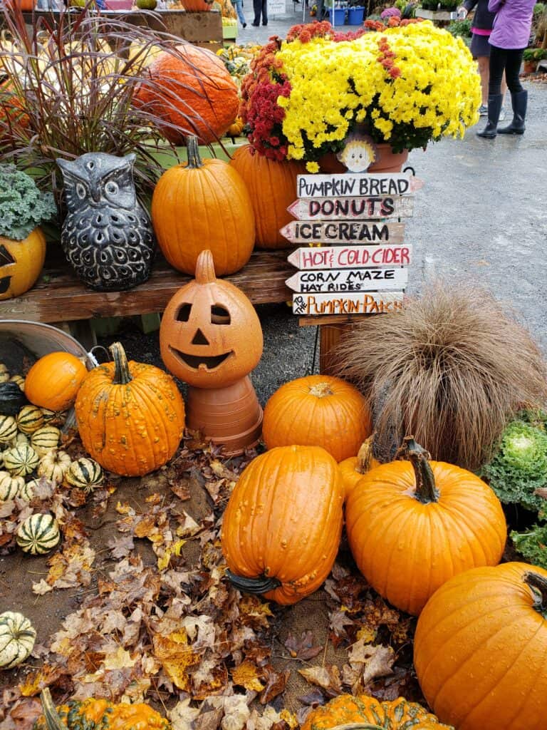 a fall garden display with pumpkins, yellow mums, a stone owl, and fallen leaves