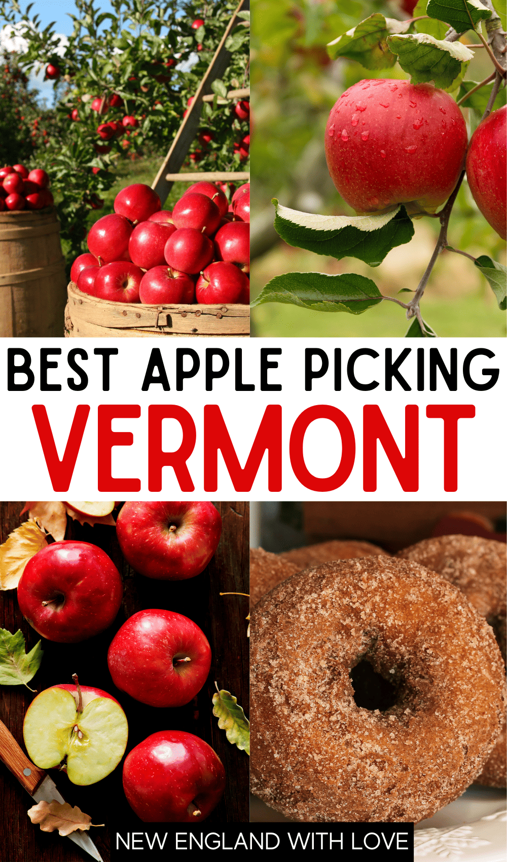 The 10 Best Places to Go Apple Picking in Vermont | New England With Love