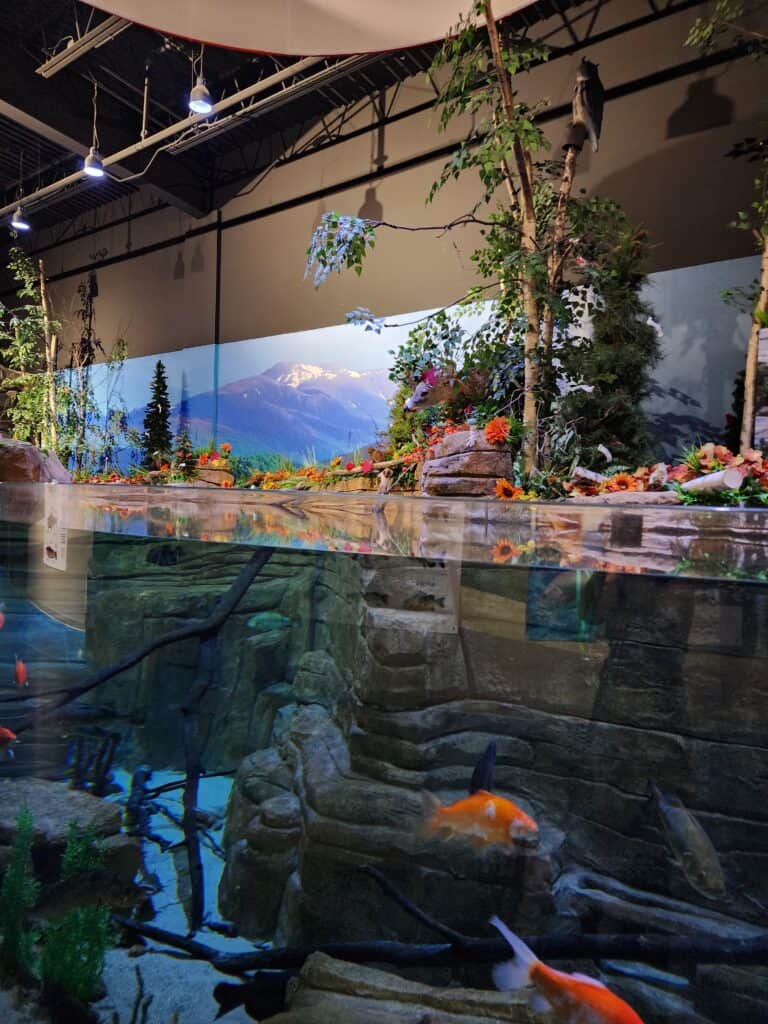 the photograph of a mountain scene is on a wall on top of a naturalistic aquarium with fish