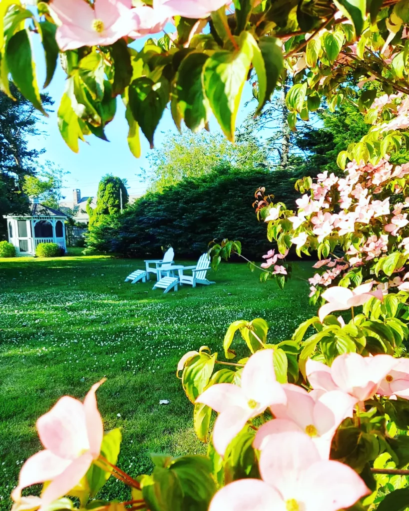 A lush yard with a white gazebo is seen with adirondack chairs and beautiful flowering trees