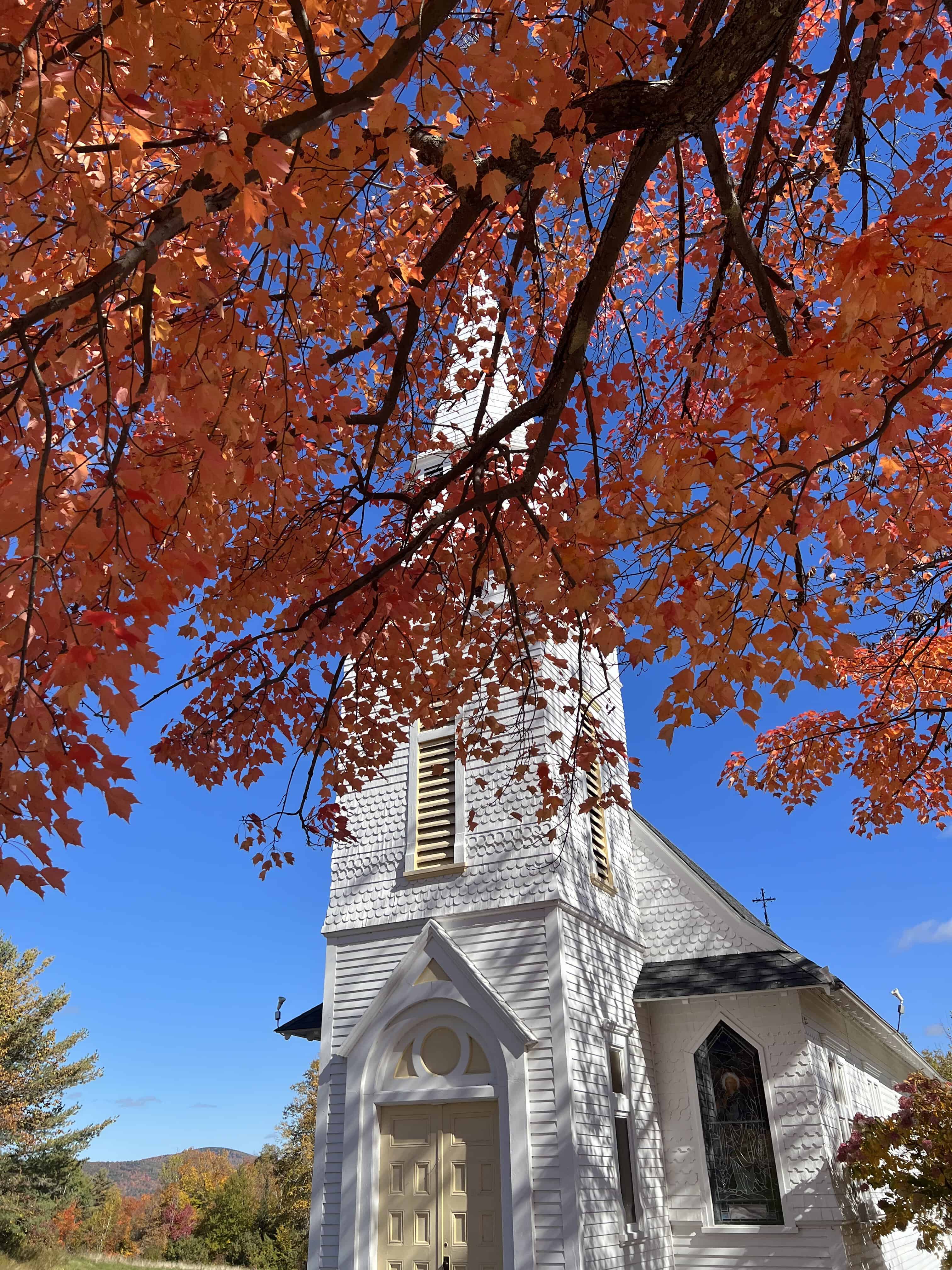 a narrow, white steepled church seen behind a branch of fall foliage