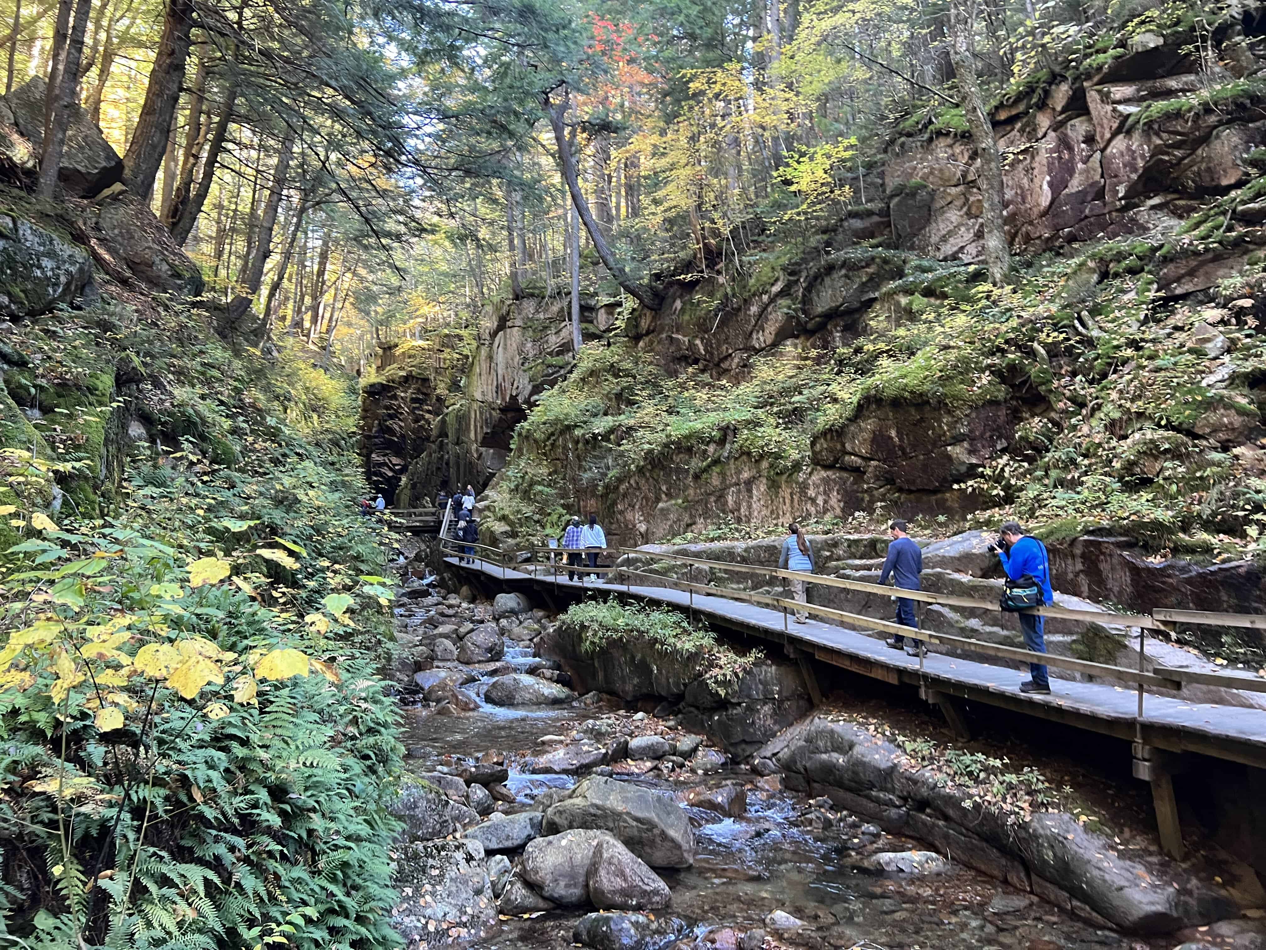 a long wooden walkway travels between the high sides of a rocky gorge in the fall