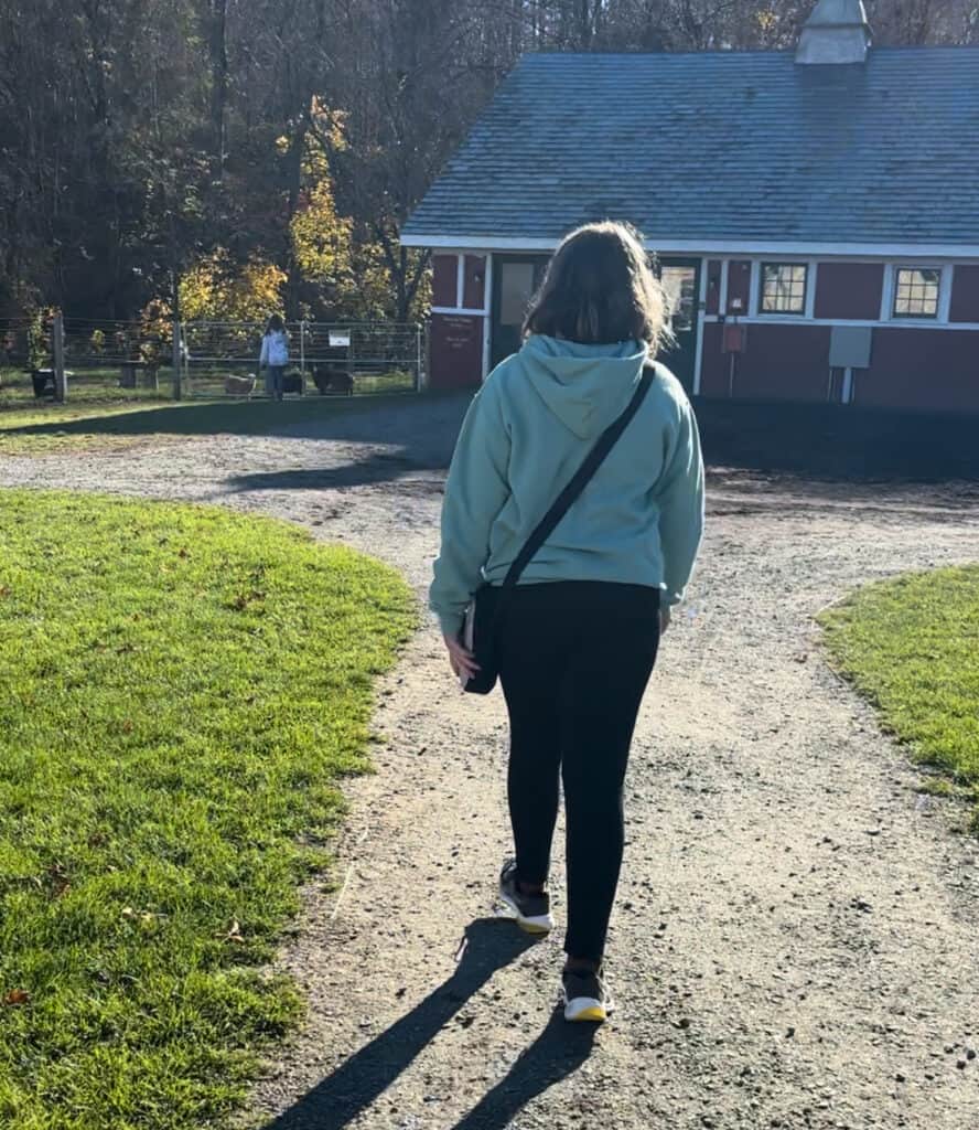 A girl walks on a path towards goats in Vermont