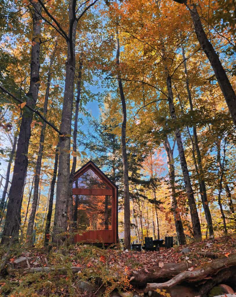 This image showcases a modern A-frame cabin tucked away in a dense forest adorned with the warm colors of autumn leaves. The cabin's large glass facade reflects the surrounding trees, blending the structure seamlessly with nature.