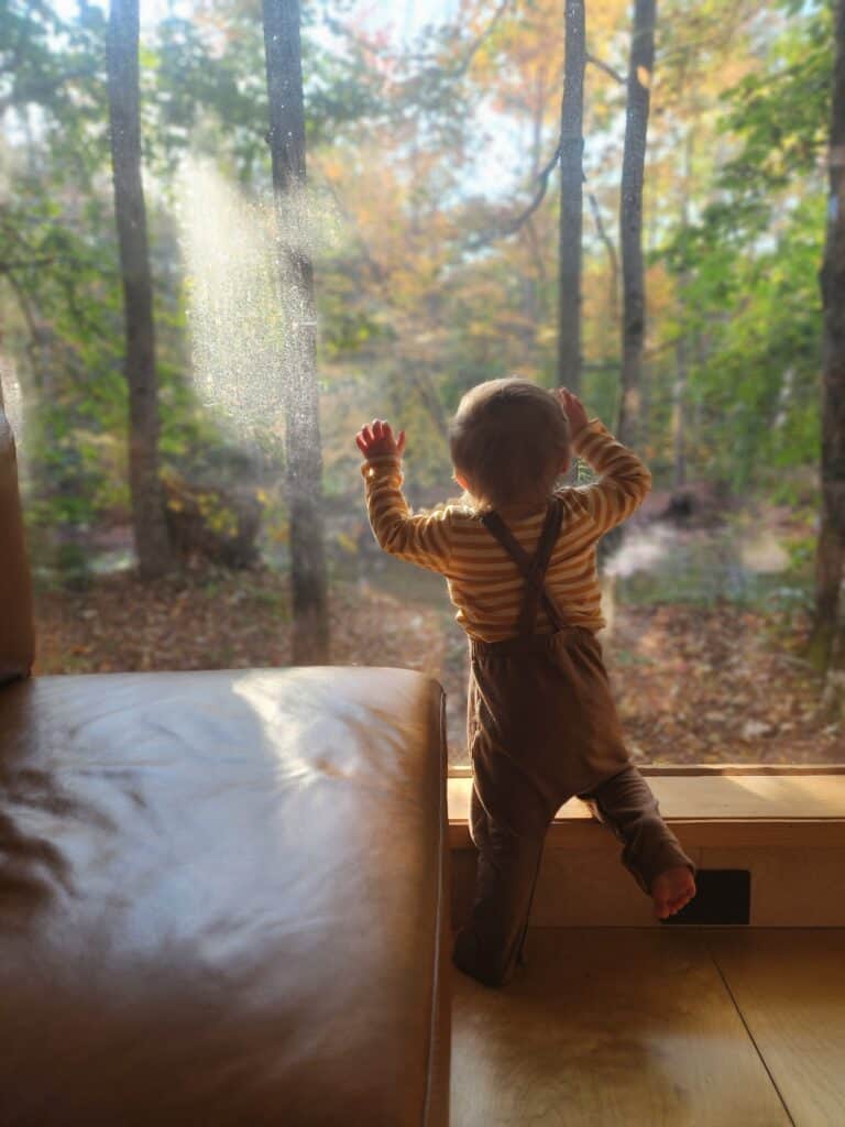 a toddler boy in a classic simple outfit looks out a large picture window inside a cabin onto an early autumn scene outside.
