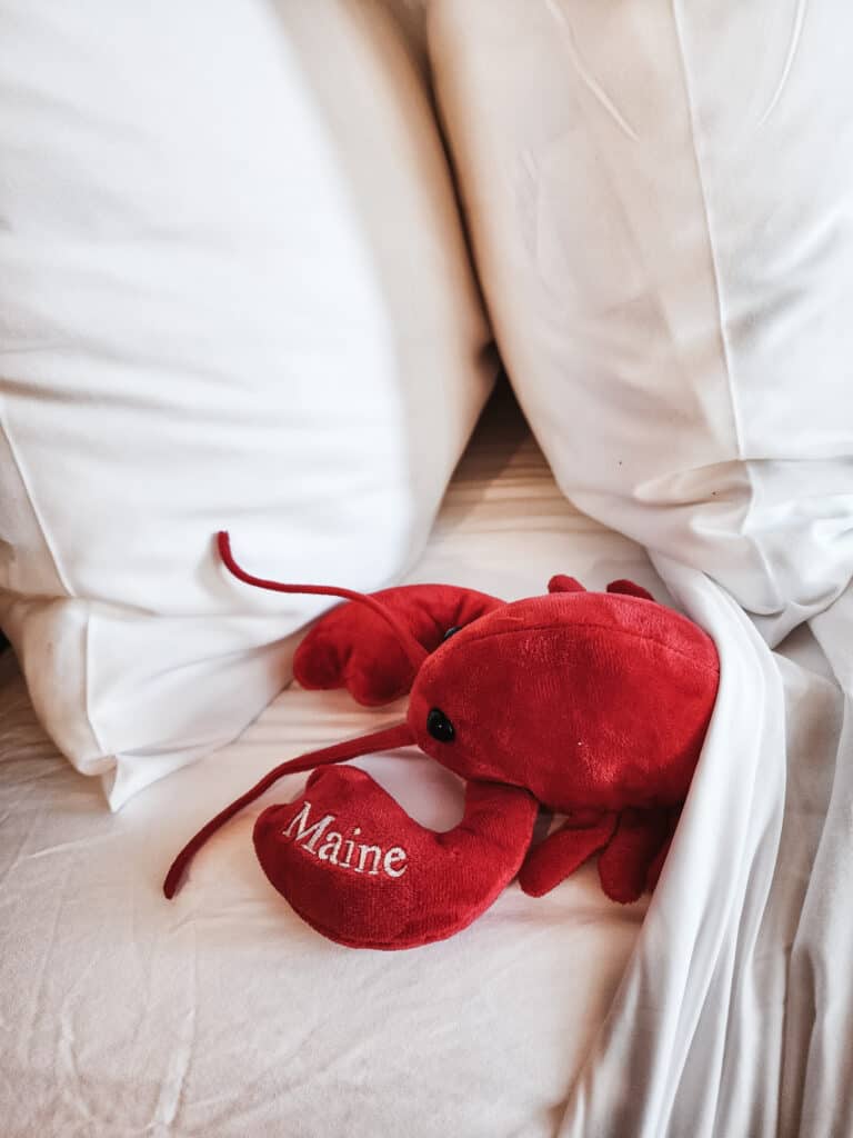 a stuffed animal lobster laying under white sheets, his claw says Maine